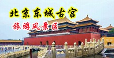 大鸡巴插入逼逼视频麻豆中国北京-东城古宫旅游风景区